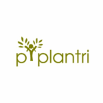 Piplantri - logo